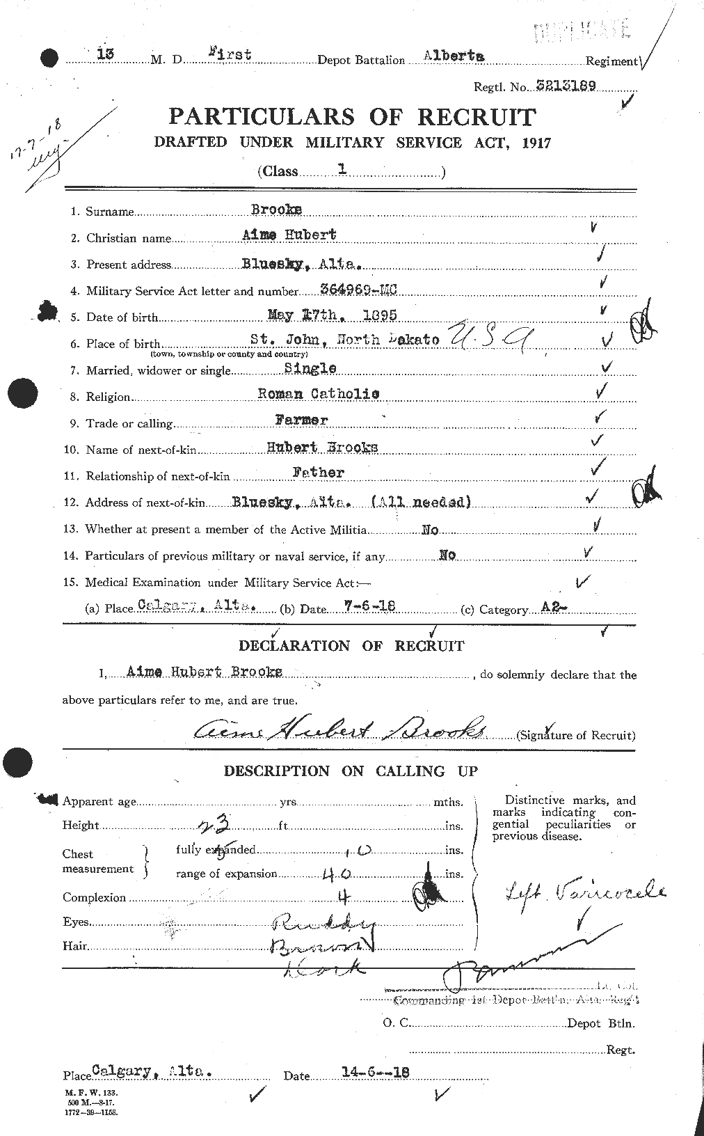 Image: Aime Brooks WW I Recruitment Form